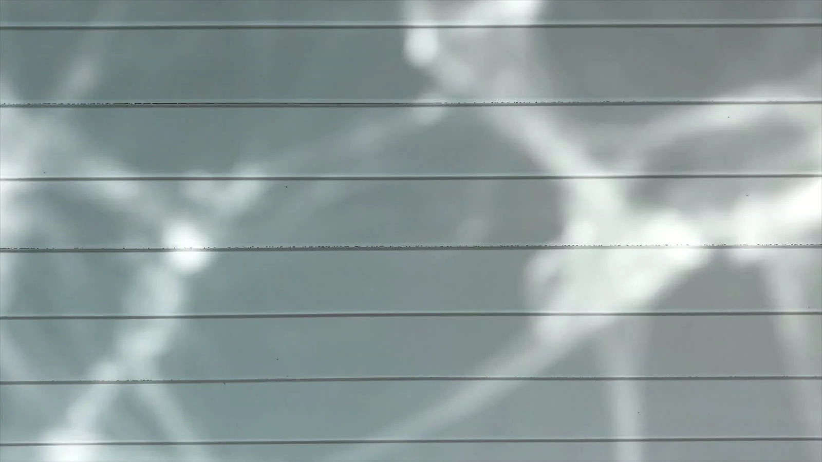Reflected water light moving across a slatted timber ceiling