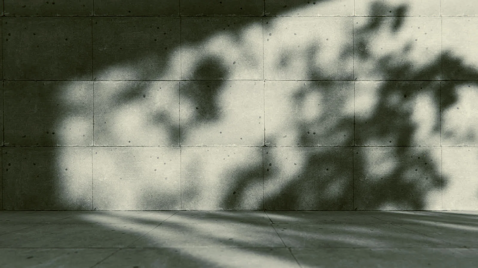 Board-formed concrete carrying the shadow of a tree, tie-holes still visible